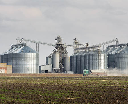 Grain Industry